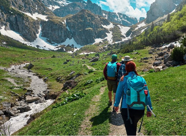 Natural outdoor scene Canada illustrating tick prevention and safe seasonal activities