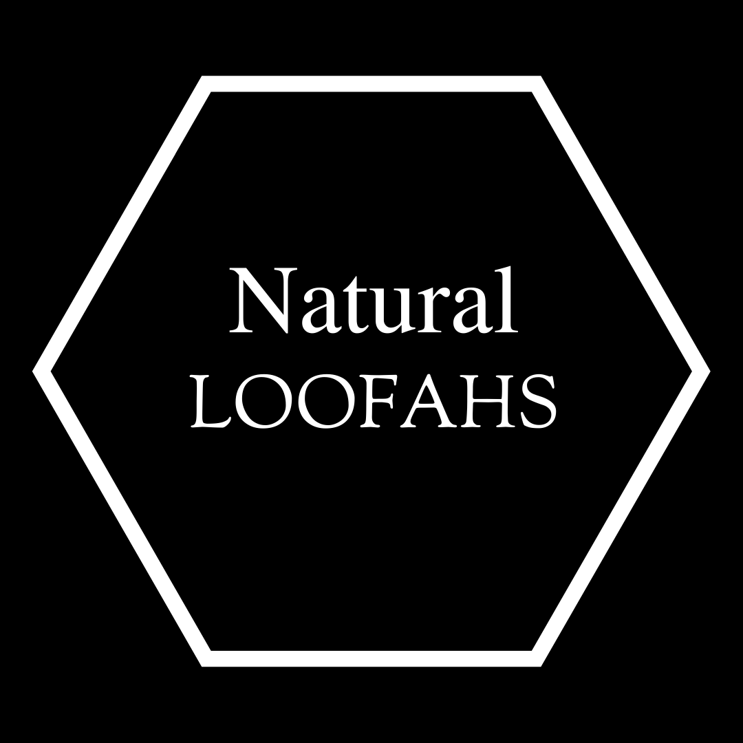 natural biodegradable loofah sponges for cleaning doing dishes and body care