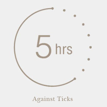 Close-up of Bite Insect Repellent label highlighting active ingredients and safety symbols on a matte white spray bottle