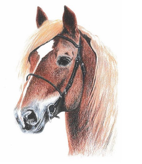 Horse More Joy Swedish dishcloth featuring a detailed horse illustration, biodegradable cellulose and cotton material, 7x8