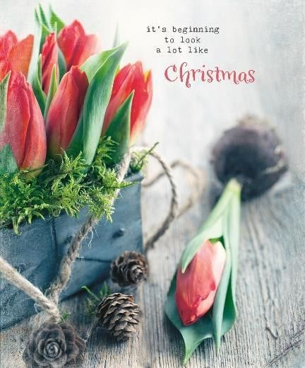 Christmas Tulips More Joy Swedish Dishcloth with vibrant red, green, and white tulip print, textured cellulose material, 6x8