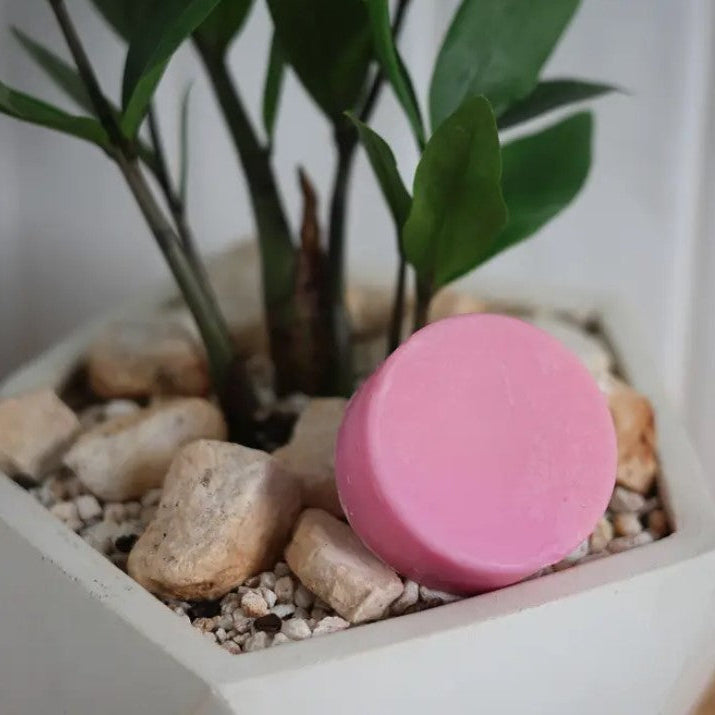 Rad Hair Day Conditioner Bar nestled beside a houseplant, Canadian plastic free conditioner bar for fine dry damaged hair