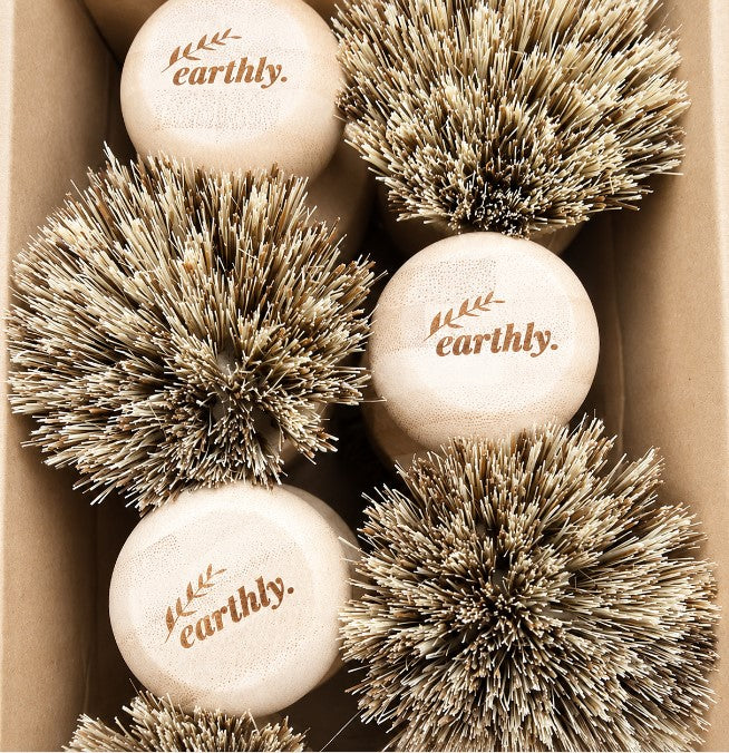 Six Earthly Compostable Pot Scrubbers made with bamboo handles and natural sisal bristles in a cardboard box
