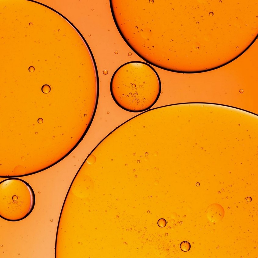 Close-up of the clear plastic travel case with silver zipper and embossed “Everist” logo on top, showing compact size and