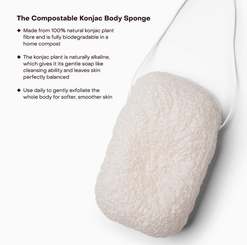 Close-up of the textured white konjac sponge surface showing fine porous details for gentle exfoliation