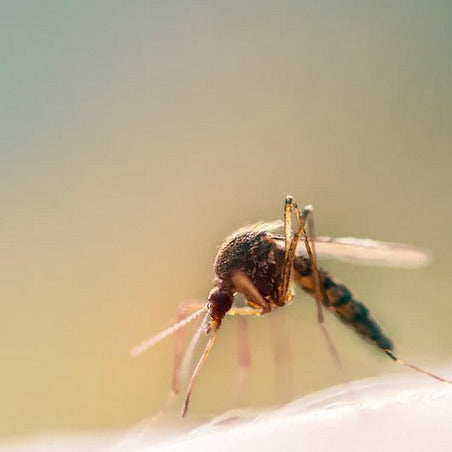 Close-up of Bite Insect Repellent bottle cap with textured grip and clear dosing instructions visible
