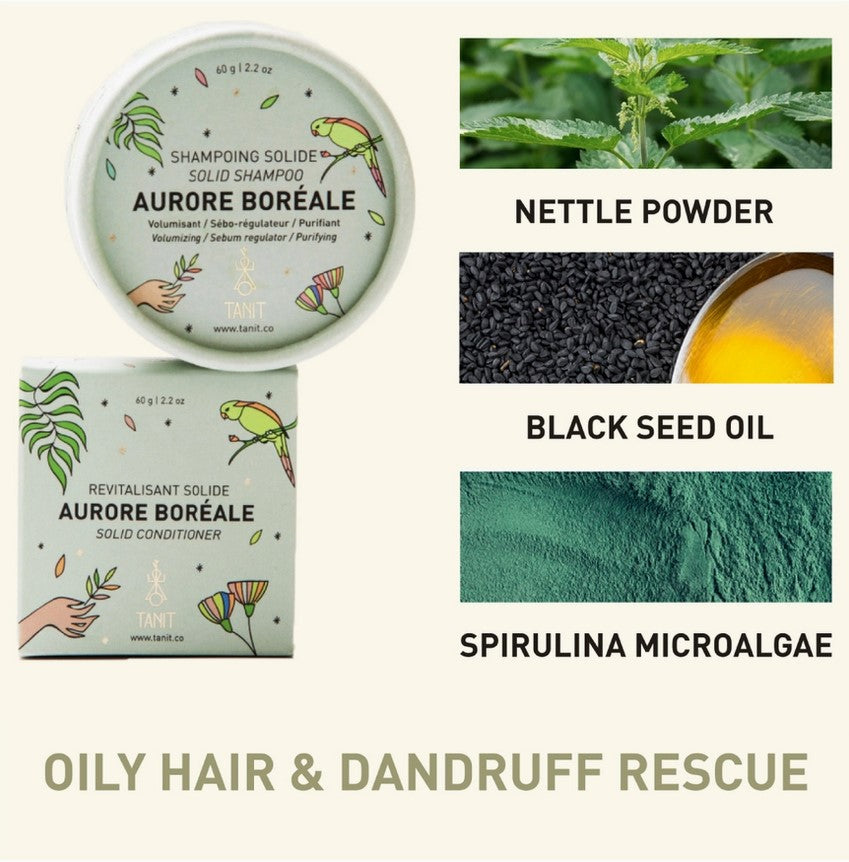 Close-up of the Aurore Boréale Shampoo Bar’s textured surface highlighting natural ingredients and refreshing scent details