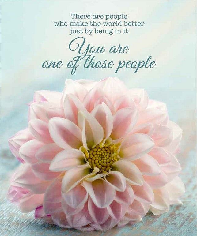 MORE JOY Swedish Dishcloth, biodegradable cellulose and cotton, absorbent cleaning cloth for spills, glass, and granite