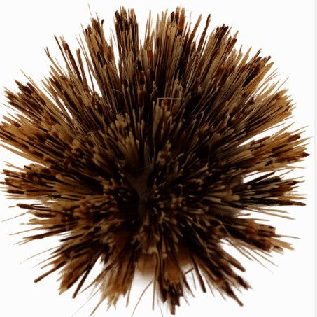 Close-up of durable natural sisal bristles on the Earthly Compostable Pot Scrubber made from plant-based fibres