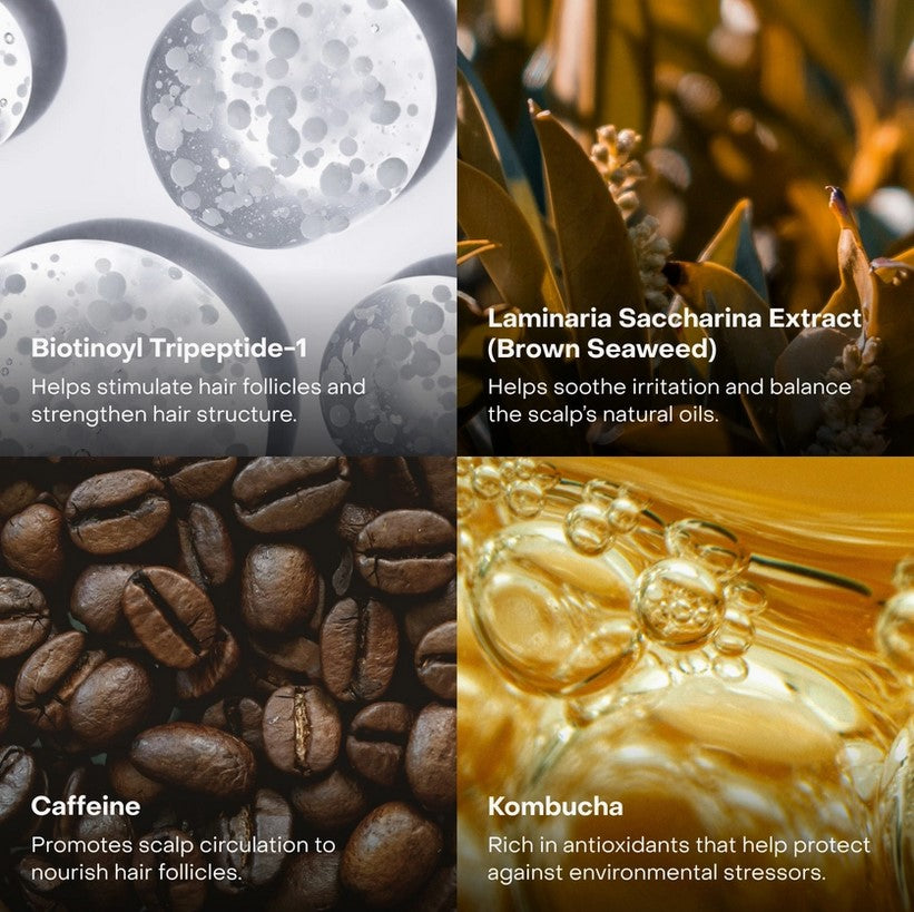 Everist EverBoost scalp serum active ingredients including peptides, caffeine, kombucha, and brown seaweed