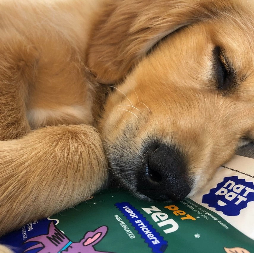 Close-up of the NATPAT Pet Zen Stickers demonstrating textured matte finish with calming blue and green colors, featuring