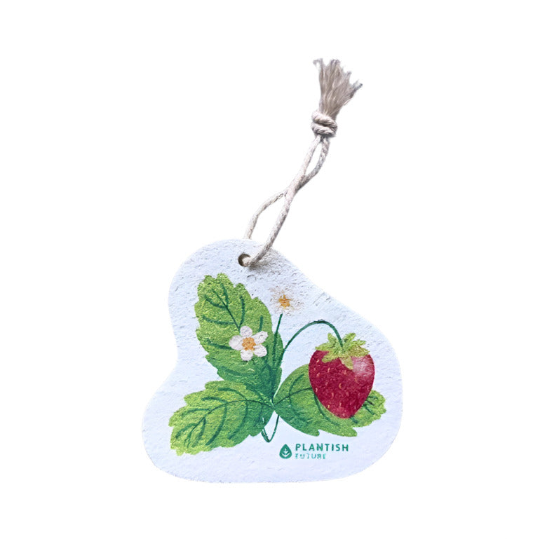 Close-up of the textured, absorbent cellulose surface with vibrant green and blue sponge layers visible from a top-down angle