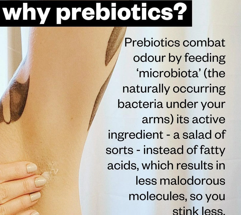 Close-up of the natural white paste texture with visible small prebiotic granules and a matte bamboo spatula for application