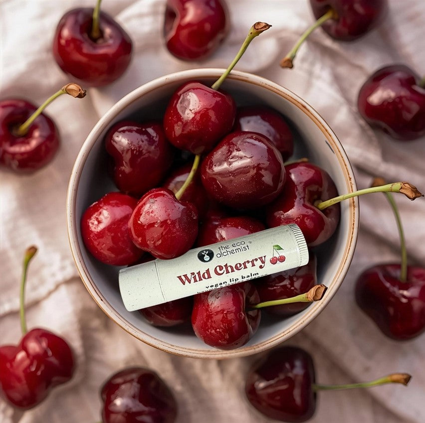 Wild cherry lip balm surrounded by fresh cherries natural lip care product