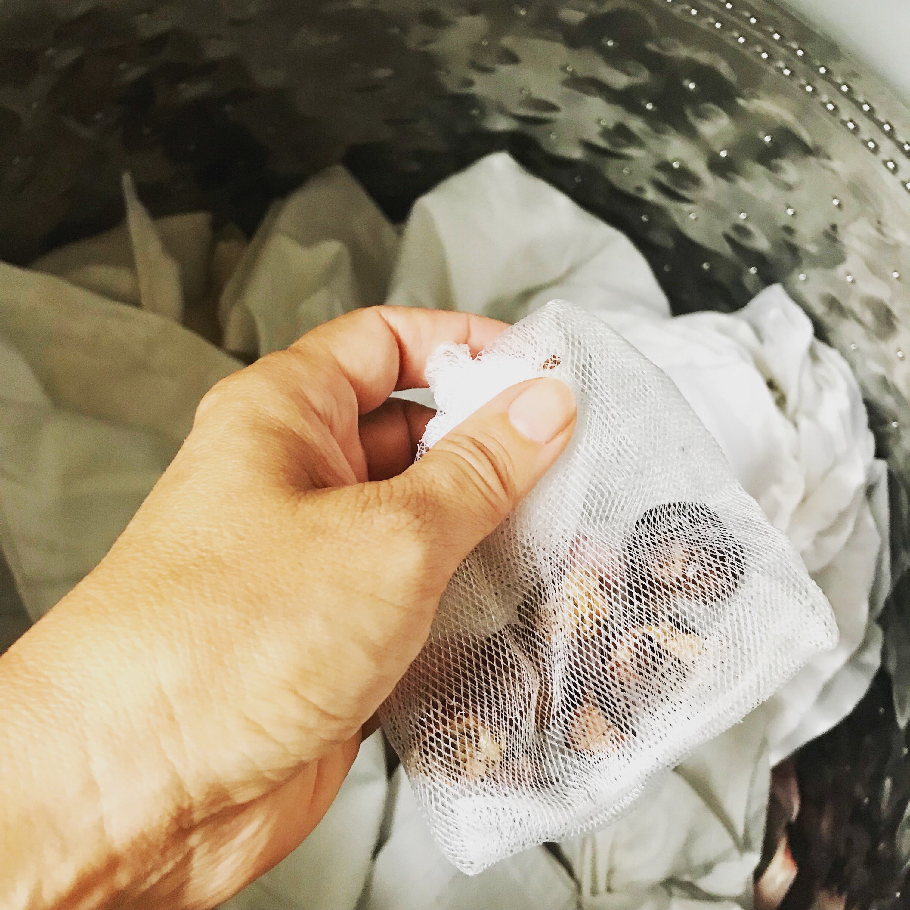 Close-up of dried soapberries with textured surface and organic label detail, highlighting natural ingredients for laundry