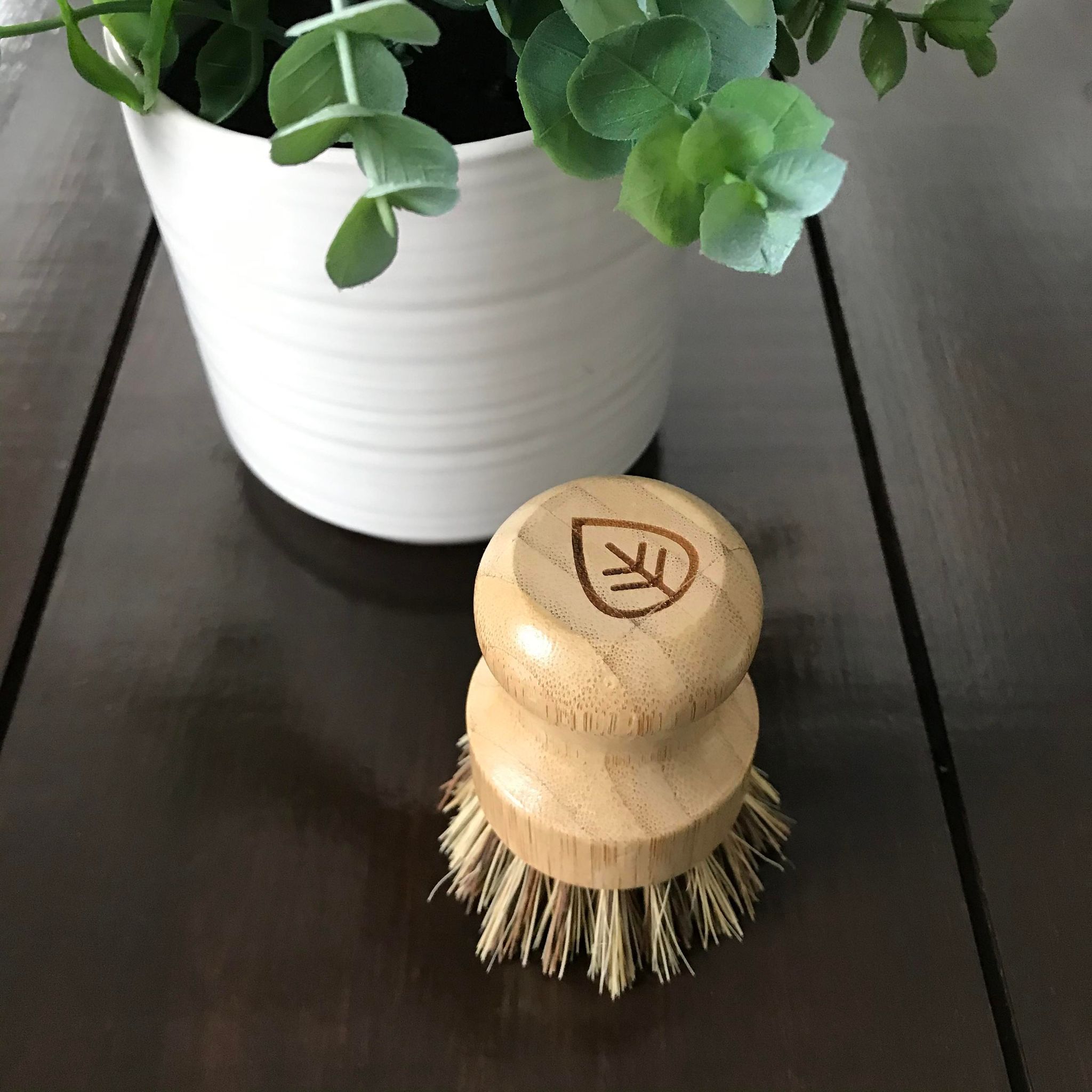 Plantish sisal and palm pot scrubber with textured beige sisal fibers and smooth light brown palm wood handle for kitchen