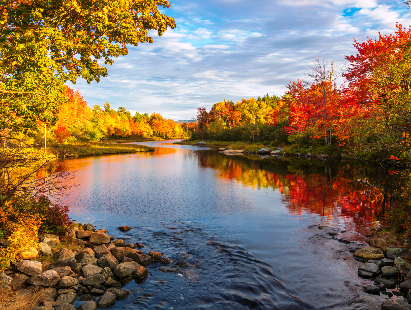 Scenic autumn landscape with vibrant fall foliage reflecting on a calm river in Ontario, Canada. So much natural beauty to be grateful for this Thanksgiving. We are so blessed to live in Ontario cottage country.