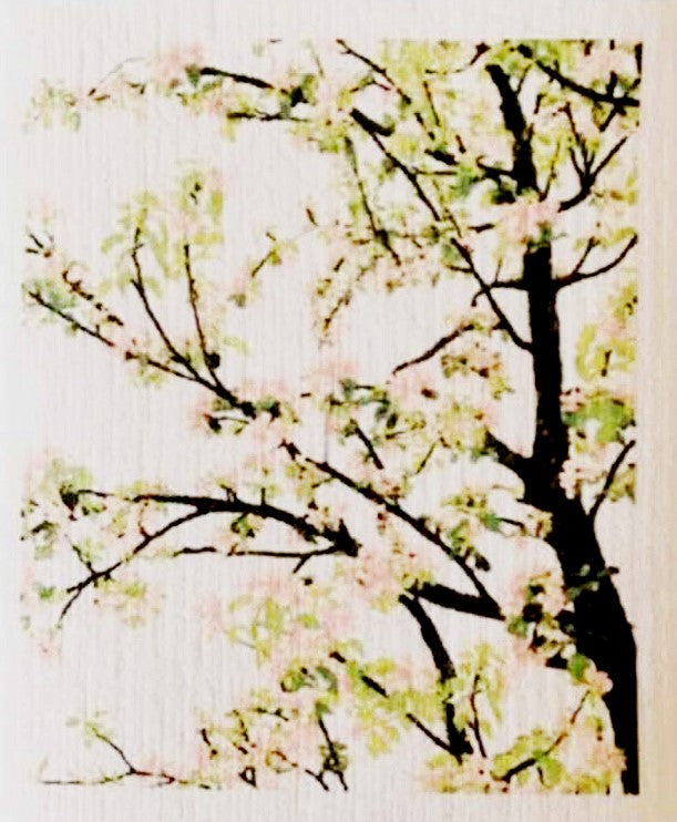 Apple Tree More Joy Swedish dishcloth with biodegradable cellulose and cotton, featuring a red apple and birch tree design