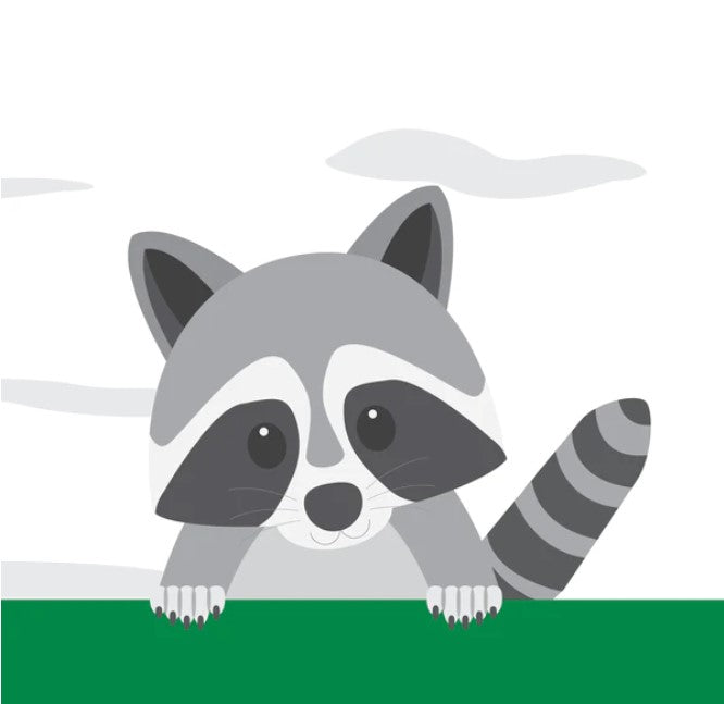 Close-up of Birch Baby Shampoo and Body Wash label highlighting natural ingredients and gentle formula details.