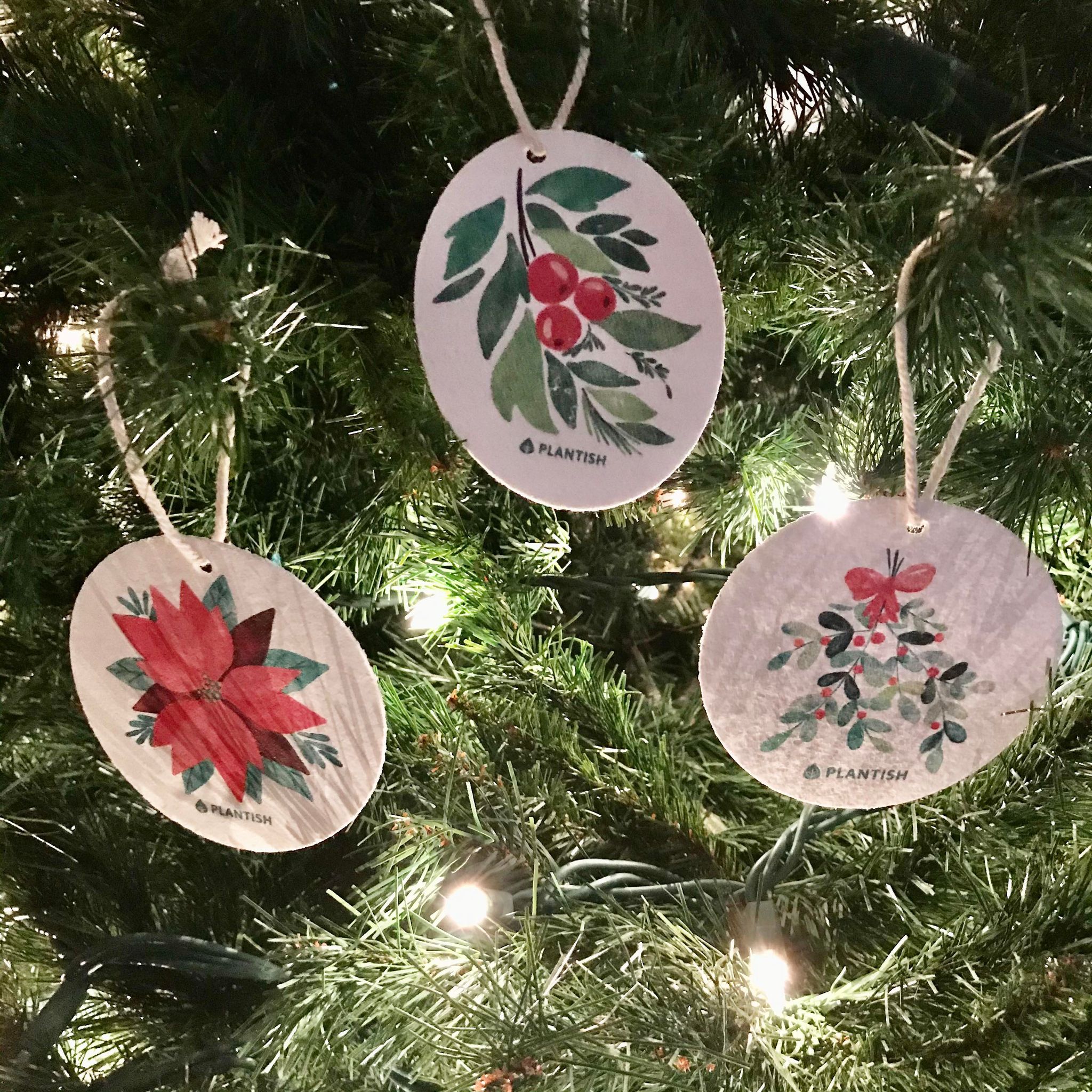 Plantish Botanical Bliss Pop Up Sponge Set featuring Christmas berries, mistletoe, poinsettia, and biodegradable textures in