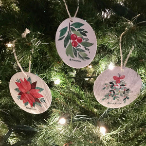 Botanical Bliss Pop Up Sponge Set