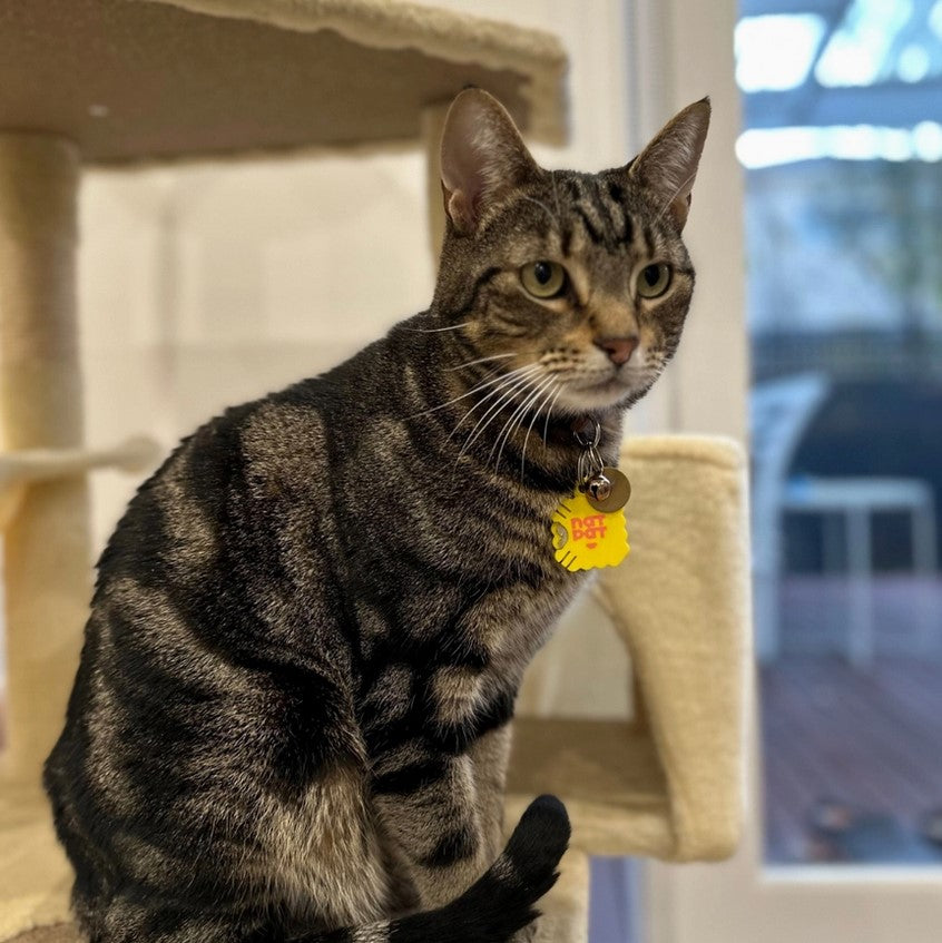 Close-up of the NATPAT Pet Zen Stickers' textured surface featuring calming blue and green shades and subtle leaf patterns