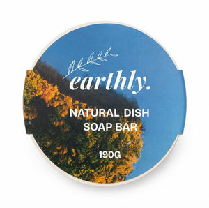 Earthly Dish Soap Bar in Ramekin