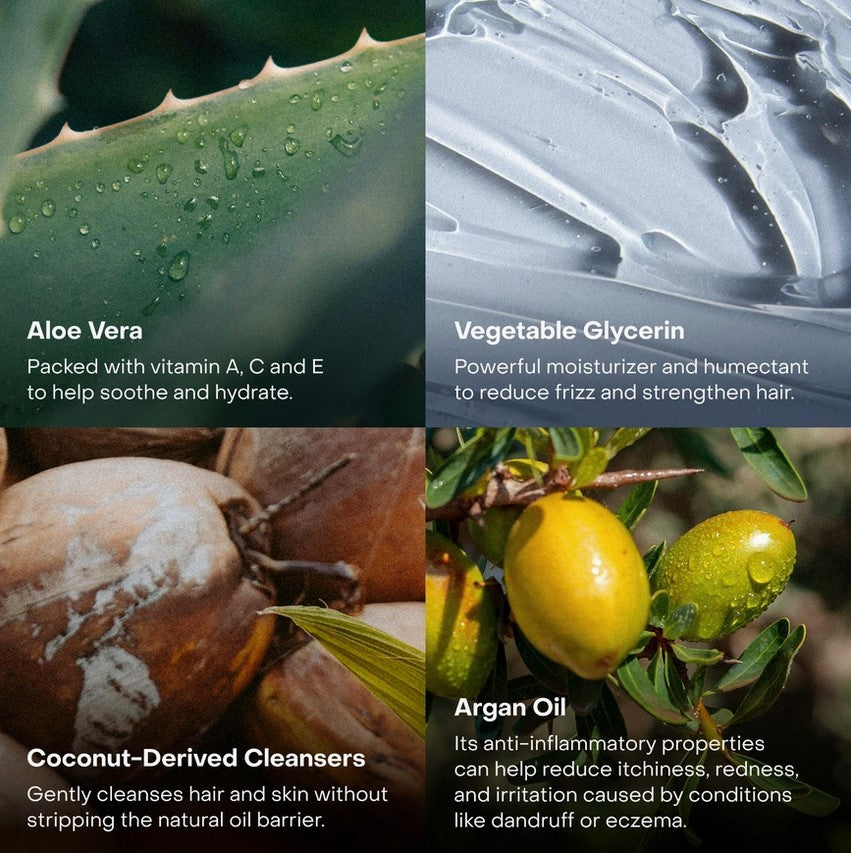 Close-up of the sleek, matte tin lid highlighting the minimalist Everist logo and fragrance-free labeling detail.