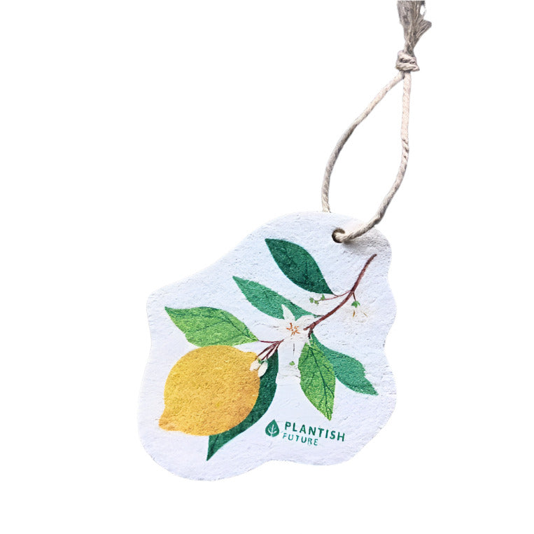 Close-up of bright yellow and green kitchen sponges stacked, highlighting textured scouring surface and soft foam layers