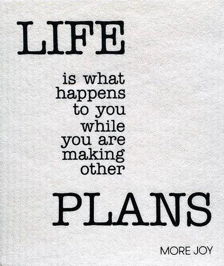 Life Plans More Joy Swedish Dishcloth made of biodegradable cellulose and cotton, absorbs spills, cleans glass and granite