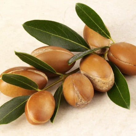 Close-up of the conditioner bar’s textured surface with visible specks of nourishing ingredients and floral scent hints.