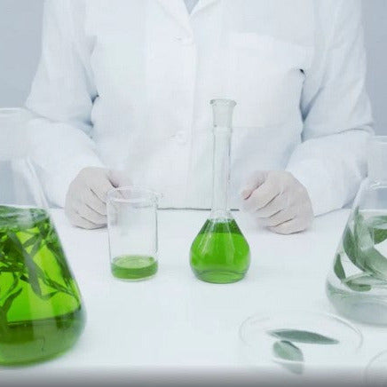 Close-up of the Aurore Boréale Shampoo Bar's textured surface highlighting natural ingredients and delicate oily hair