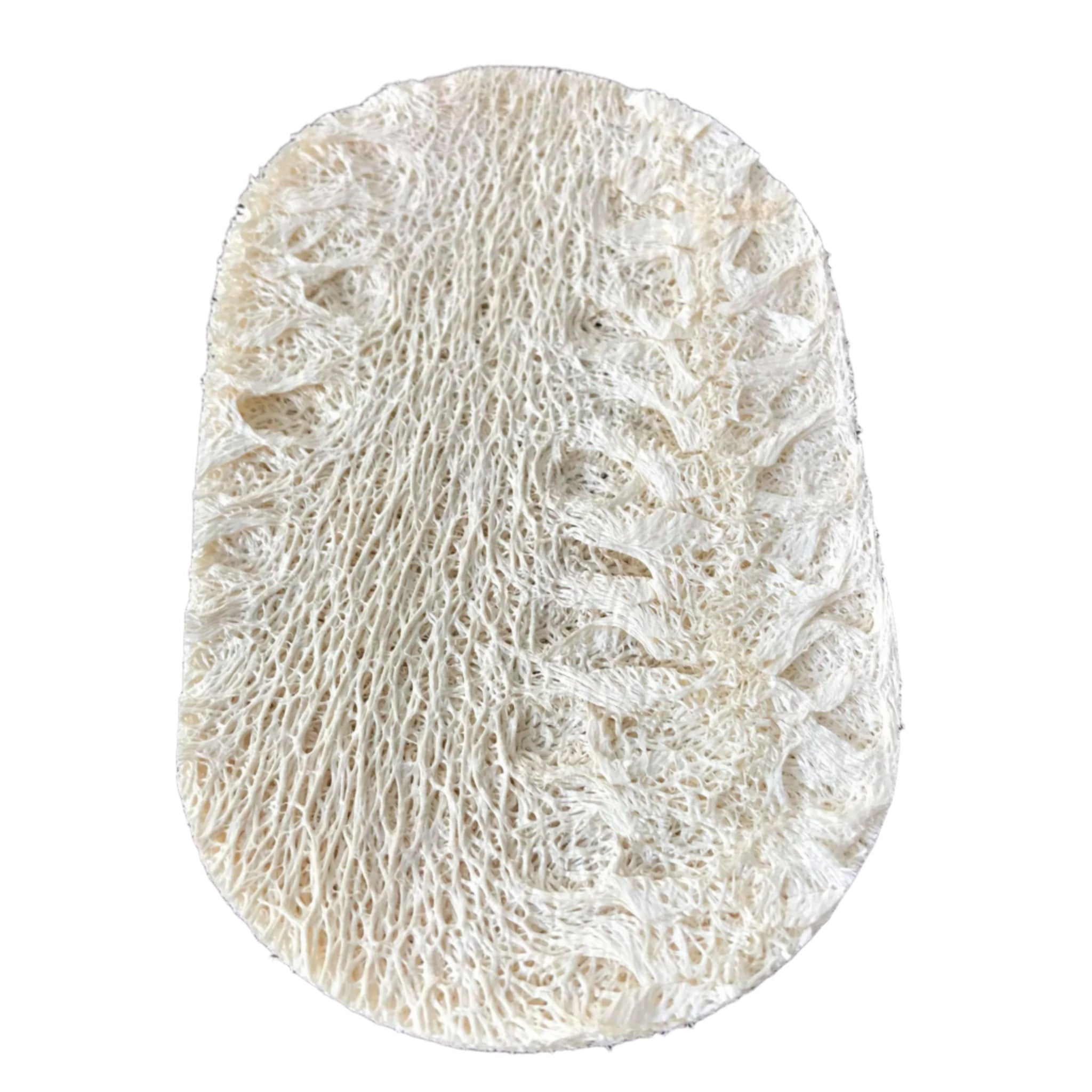 Plantish oval natural loofah sponge with textured surface and light beige color, 4x2 inches, for gentle kitchen scrubbing