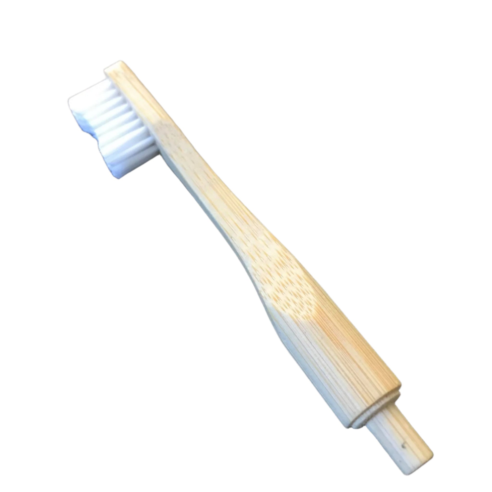 etee bamboo toothbrush head with biodegradable bristles, white and natural bamboo handle, compact size for dental care