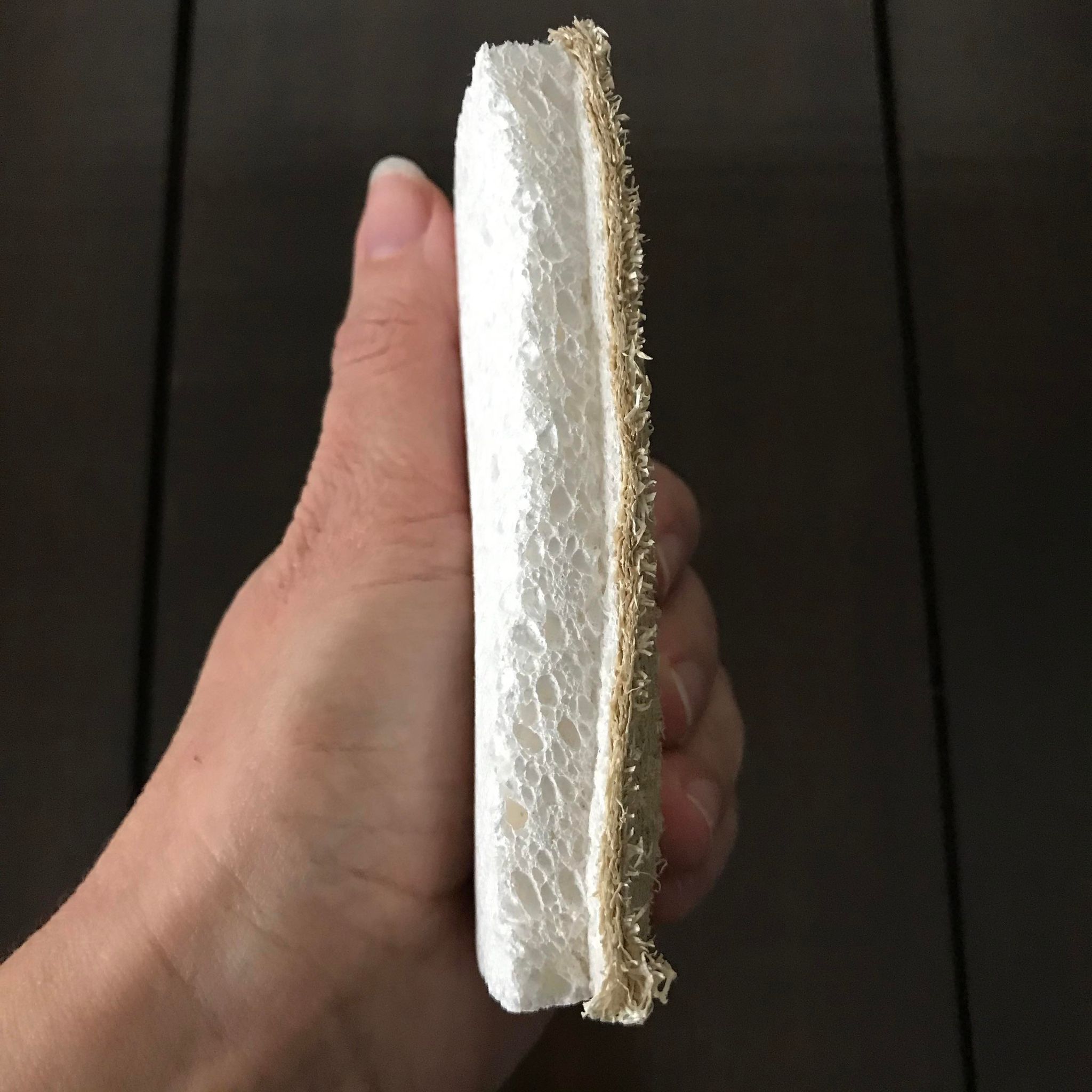 Plantish compostable kitchen sponge with cellulose and loofah fibers, green color, 4x4 inches, plant-based, plastic-free